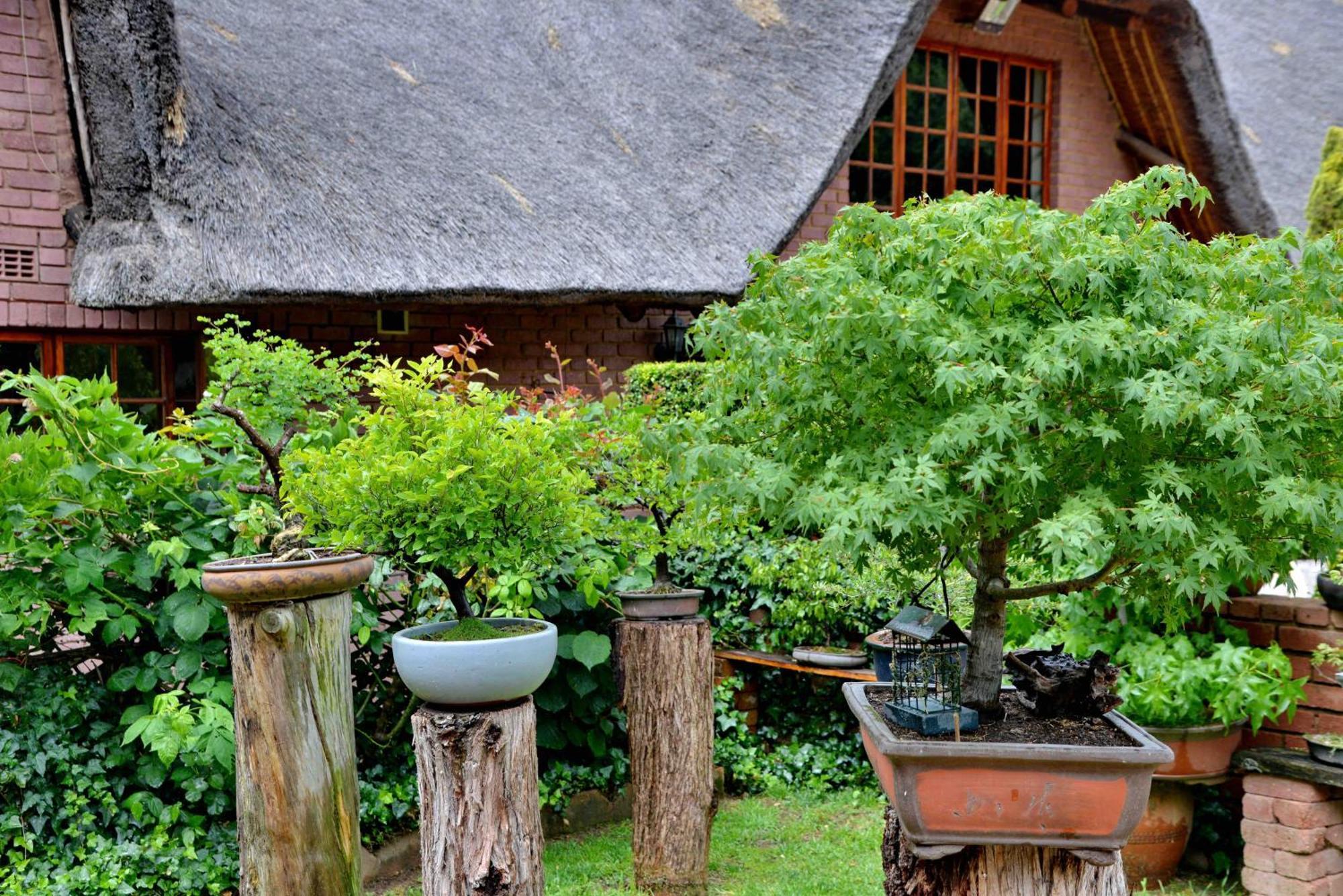 Owls Loft Guest House Midrand Exterior foto